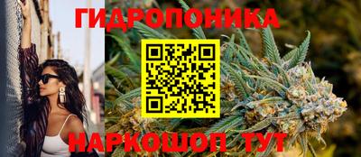 гашик Жуковский