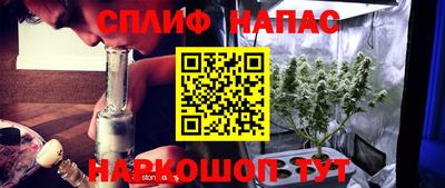 гашик Жуковский