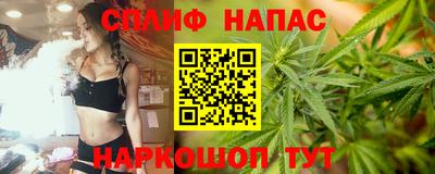 гашик Жуковский