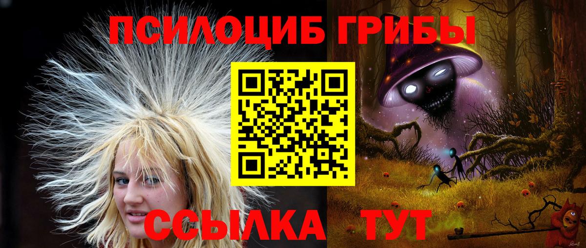 Муравленко  Галлюциногенные грибы GOLDEN TEACHER  Вход с VPN 